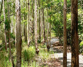 Hallorans Hill Conservation Park - Darwin Tourism 0