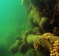 Wreck Diving at Magnetic Island - Darwin Tourism