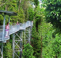Mamu Tropical Skywalk - Darwin Tourism