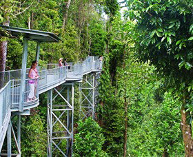Mamu Tropical Skywalk - Darwin Tourism 0