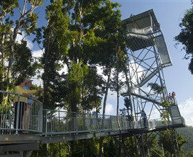 Mamu Tropical Skywalk - Darwin Tourism 1