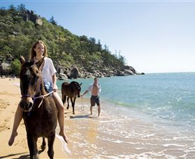 Horseshoe Bay - Darwin Tourism 1