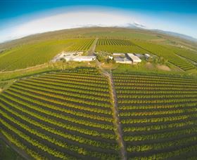 Golden Drop Winery - Darwin Tourism 0