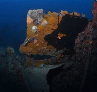 Lady Bowen Dive Site - Darwin Tourism