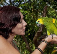 Birdworld Kuranda - Darwin Tourism