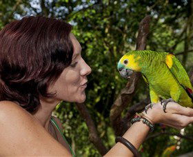 Birdworld Kuranda - Darwin Tourism 0