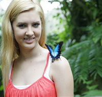 Australian Butterfly Sanctuary - Darwin Tourism