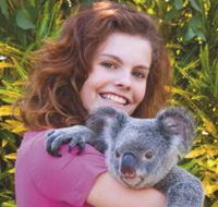 Kuranda Koala Gardens - Darwin Tourism