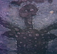 Quinkan Reserves Ancient Rock Art - Darwin Tourism