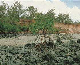 Garig Gunak Barlu National Park - Darwin Tourism 3