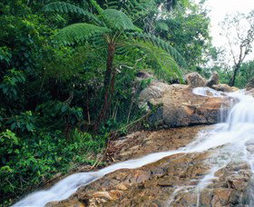 Finch Hatton Gorge - Darwin Tourism 0
