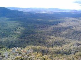 Mia Mia State Forest - Darwin Tourism 1