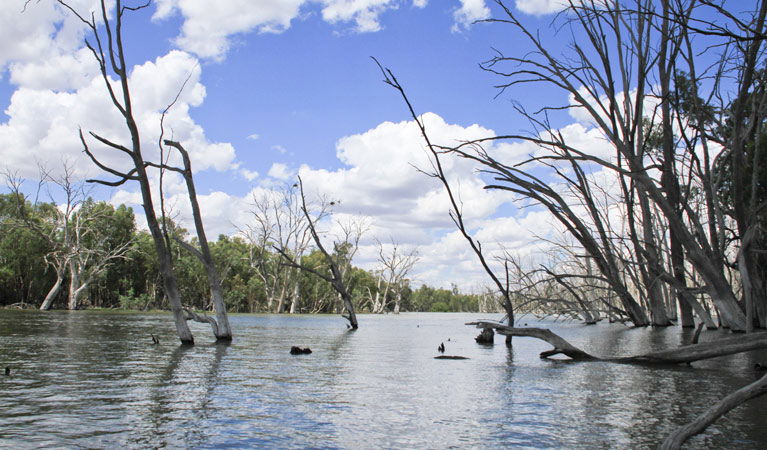 Colinroobie NSW Darwin Tourism