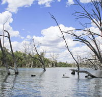 Murrumbidgee Valley National Park - Darwin Tourism
