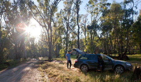 Forest Drive - Darwin Tourism 1