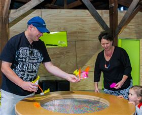 Twisted - Science At Play - Darwin Tourism 2