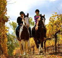 Billabong Ranch - Darwin Tourism