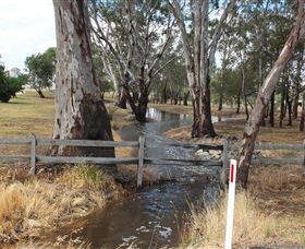 Mackereth's Hedon Farm - Darwin Tourism 2