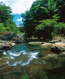Cedar Creek Falls - Darwin Tourism 1
