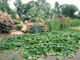 Mackenzie Park - Darwin Tourism 0