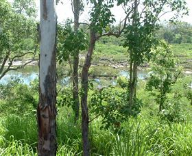 Pioneer River, Marian, Queensland - Darwin Tourism 1