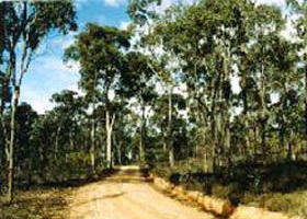 Paddys Ranges State Park - Darwin Tourism 0