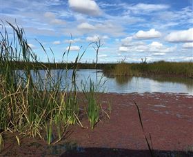 Gwydir Wetlands - Darwin Tourism 0