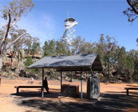 Pilliga Forest Lookout Tower - Darwin Tourism 0