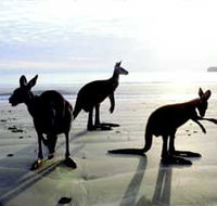 Hibiscus Coast - Darwin Tourism