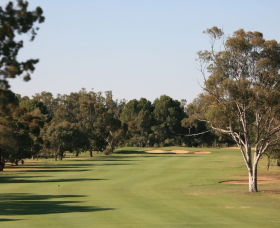 Tocumwal Golf Club - Darwin Tourism 1