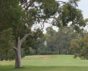 Tocumwal Golf Club - Darwin Tourism 2