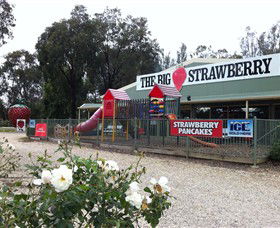 Cobram East VIC Darwin Tourism