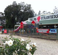 The Big Strawberry - Darwin Tourism