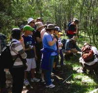 Warrumbungle National Park Discovery Program - Darwin Tourism