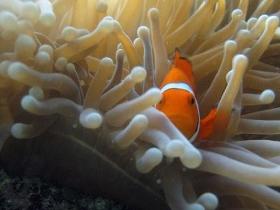 Whitsundays QLD Darwin Tourism
