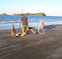 Cape Hillsborough National Park - Darwin Tourism