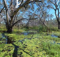 Macquarie Valley Trails - Darwin Tourism