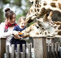 Taronga Western Plains Zoo Dubbo - Darwin Tourism