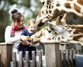 Taronga Western Plains Zoo, Dubbo - Darwin Tourism 0