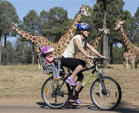 Taronga Western Plains Zoo, Dubbo - Darwin Tourism 2
