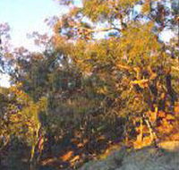Mount Alexander Regional Park - Darwin Tourism