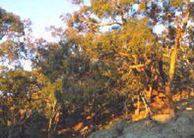 Mount Alexander Regional Park - Darwin Tourism 0