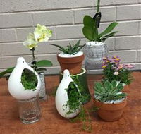 Cobram Florist - Darwin Tourism