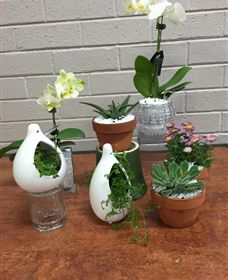 Cobram Florist - Darwin Tourism 0