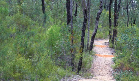 Sculptures In The Scrub Walking Track - Darwin Tourism 1