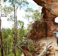 Pilliga National Park - Darwin Tourism
