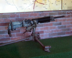 Woodpecker Gun - Darwin Tourism 0