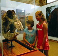 Australian Museum Diprotodon Exhibition - Darwin Tourism