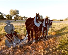 Pastoral Shadows Of Brookong - Darwin Tourism 0