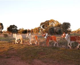 Pastoral Shadows Of Brookong - Darwin Tourism 2